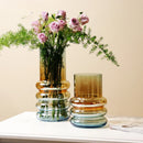 Axyaa Clear Glass Gradient Vase for Flowers & Hydroponics