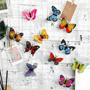 3D LED Butterfly Sticker Night Light Set for Home Decor by Axyaa