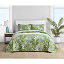 Axyaa Reversible Cotton Quilt Set with Matching Shams, Lightweight Twin Bedding