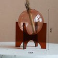 Axyaa Acrylic Spherical Vase for Minimalist Table Decoration and Aesthetic Room Decor