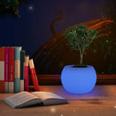 Axyaa 16-Color Waterproof Desk Lamp With Remote Control Plant Pot Table Light