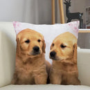 Axyaa Golden Retriever Dog Sofa Pillowcase for home decor