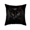 Axyaa Black Cat Pillowcases: Cute Kitty Lover Cushion Cover & Home Decor