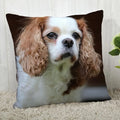 Axyaa Cocker Spaniel Sofa Cushion Cover - Creative and Simple Home Decor