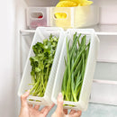 Axyaa Foldable Scallion Storage Box with Handle - Kitchen Food Organizer