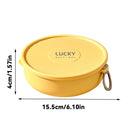 Axyaa Stainless Steel Double-layer Lunch Box, Sealed Food Container