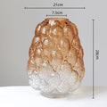 Axyaa Gradient Glass Vase Hydroponic Terrarium Home Decor Accessory