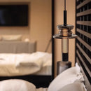 Axyaa Smoke Gray Glass Pendant Light - High-End, Light Luxury Atmosphere