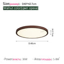 Axyaa Modern Minimalist Ceiling Lamp for Bedroom, Study, and Living Room