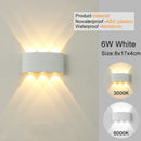 Axyaa LED Wall Sconces - Modern Indoor Outdoor Up Down Lights for Living Room & Bedroom