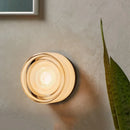 Axyaa Glass LED Wall Lamp Sconce for Home Decor and Indoor Lighting