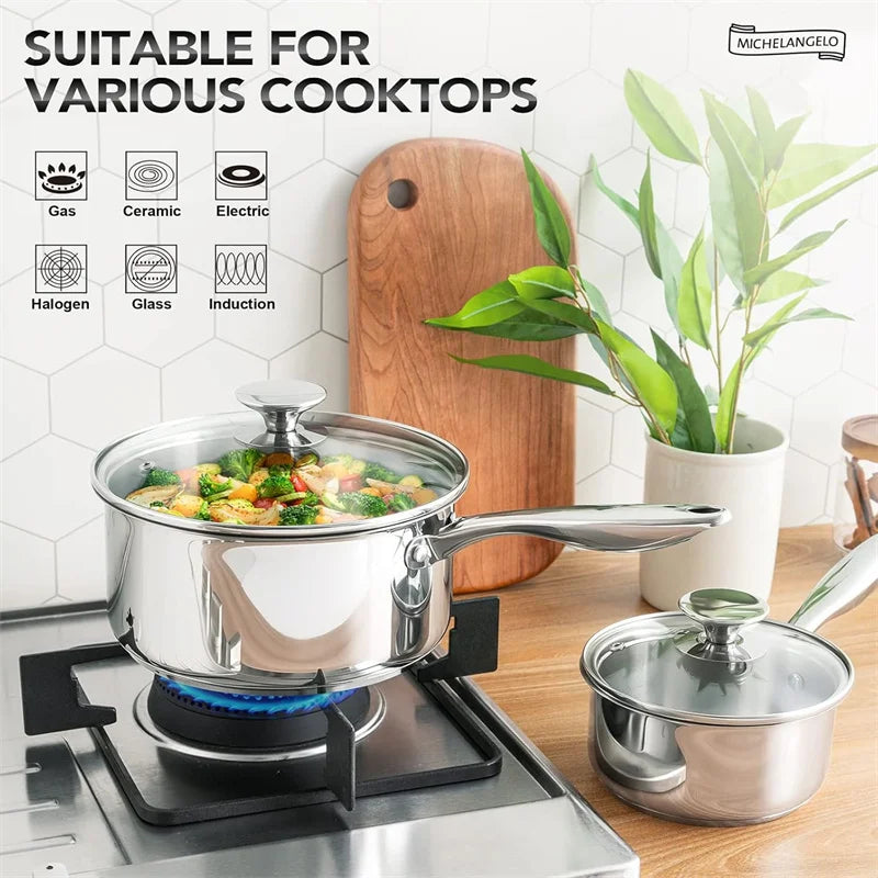 Axyaa 3-qt Stainless Steel Stew Pot with Lid, Induction Compatible, Thick Bottom