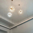 Axyaa Dandelion Chandeliers: Luxury Crystal Lighting for Home & Restaurant