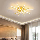 Axyaa LED Ceiling Chandelier Modern Indoor Lighting for Living Room Bedroom Hallway
