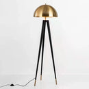 Axyaa Nordic Designer Fan Head Metal Floor Lamp for Living Room Bedroom Standing Light