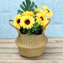 Axyaa Vegetable Hanging Basket Pot Bag, Nursery Laundry Storage Holder, Home Decor