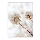 Axyaa Beige Dandelion Bunny Tail Grass Canvas Art Print Nordic Flower Poster