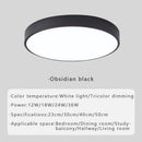 Axyaa LED Ceiling Light: Modern, Creative, Minimalist, Circular Design for Home Decor