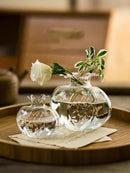 Axyaa Glass Pomegranate Vase: Home Hydroponic Flower Arrangement and Desktop Decoration