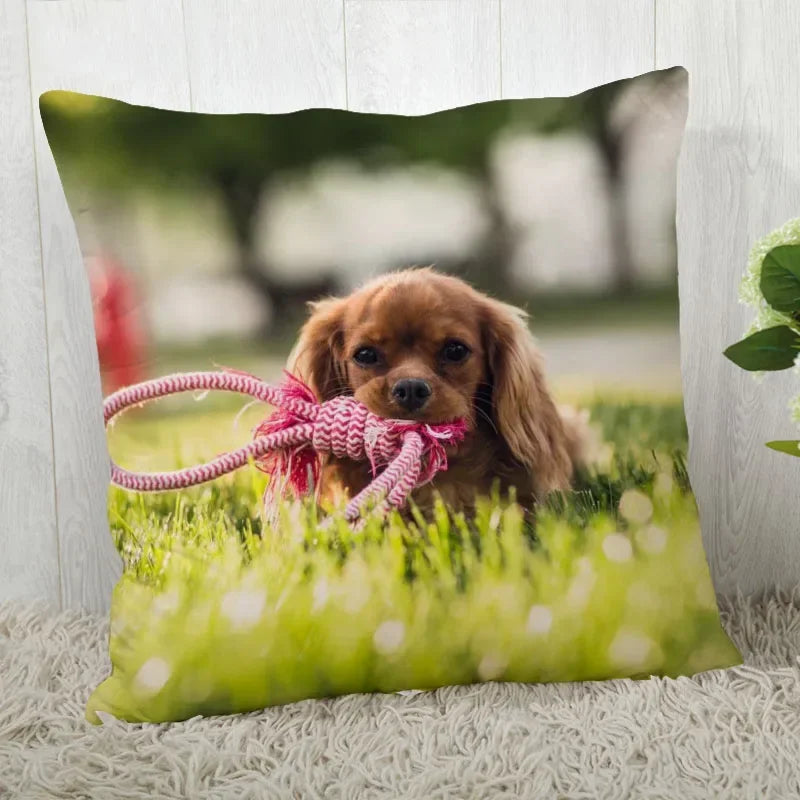 Axyaa Cocker Spaniel Sofa Cushion Cover - Creative and Simple Home Decor