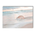 Axyaa Beach Starfish Bridge Canvas Painting - Nordic Wall Art Prints for Bedroom