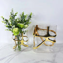 Axyaa Gold Edge Geometric Glass Vase: Elegant Terrarium for Home Decor and Flower Arrangements