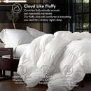 Axyaa Goose Down Fiber Waterfowl Feather Comforter, 100% Egyptian Cotton Cover, King/California King Size