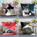 Cute Cat Print Pillowcase by Axyaa - Perfect for Home, Car, and Sofa