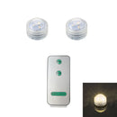 Axyaa Submersible LED Light Remote Pond Waterproof Pool Lamp for Vases Fish Tanks