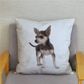 Chihuahua Dog Printed Cushion Cover by Axyaa for Home Decor