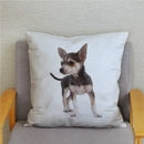 Chihuahua Dog Printed Cushion Cover by Axyaa for Home Decor