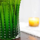 Axyaa Green Cactus Glass Vase: Creative Artificial Flowers Table Decoration