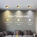 Axyaa Retro Copper LED Ceiling Downlights 6W/8W/10W - Surface Mounted Spot Lighting