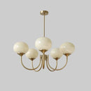 Axyaa Glass Chandelier Pendant Light for Elegant Living & Dining Room Decor