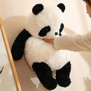 Axyaa Panda Pillow Cushion for Girls' Bed Comfort