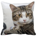 Axyaa Cute Cat Pillowcase Bubble Black  Kids Gift Decor Custom