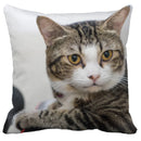 Axyaa Cute Cat Pillowcase Bubble Black  Kids Gift Decor Custom