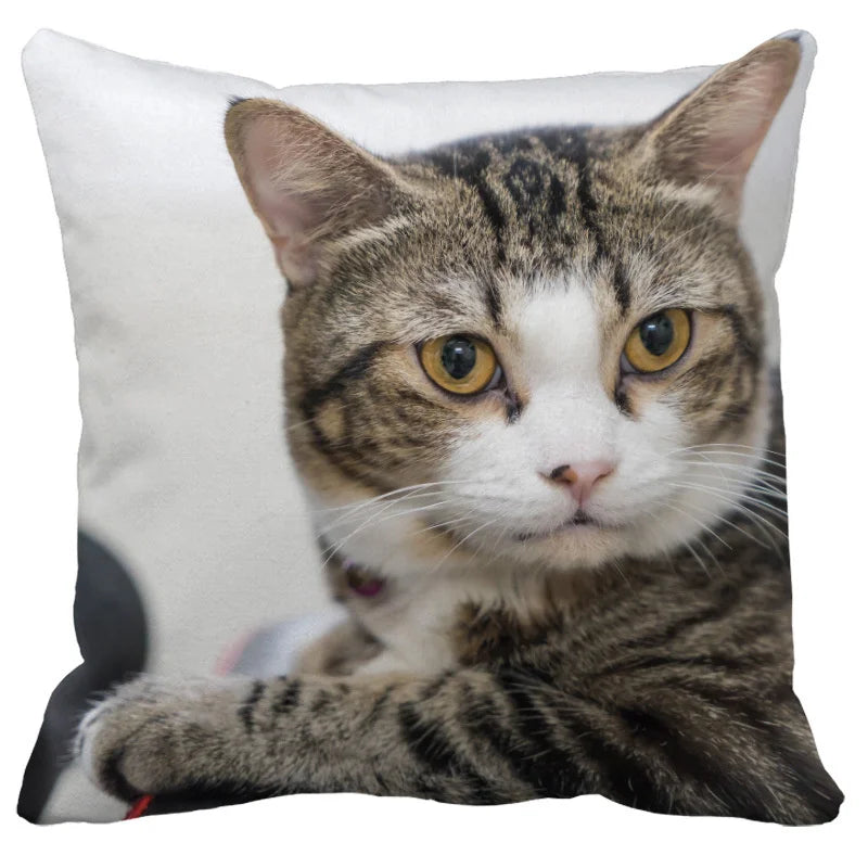 Axyaa Cute Cat Pillowcase Bubble Black  Kids Gift Decor Custom