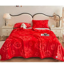 Axyaa Cloud Mink Velvet Cover Blanket - Milk Fiber Printed Blanket