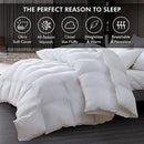 Axyaa Goose Down Fiber Waterfowl Feather Comforter, 100% Egyptian Cotton Cover, King/California King Size