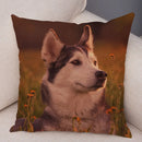 Axyaa Siberian Husky Pet Sofa Cushion Cover - Cute Dog Print Pillowcase