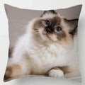 Axyaa Cute Cat Hug Pillowcase Interactive Cushion for Home Sofa Decor