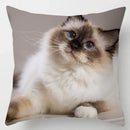 Axyaa Cute Cat Hug Pillowcase Interactive Cushion for Home Sofa Decor