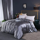 Axyaa Mulberry Silk Duvet Cover Queen Skin Beauty Comforter Cover Bed Blanket