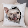Axyaa Cute Dog Print Pillow Case for Home Decor and Comfort