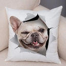 Axyaa Cute Dog Print Pillow Case for Home Decor and Comfort