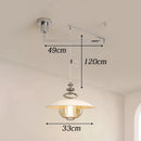 Axyaa Modern Dining Room Chandelier LED Pendant Ceiling Light