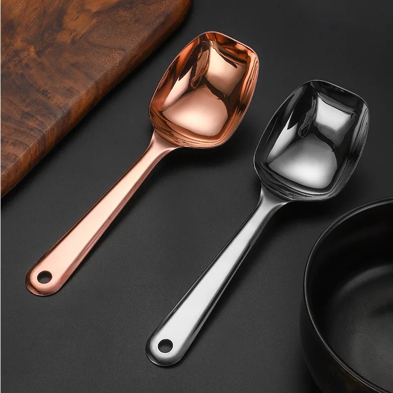 Axyaa Stainless Steel Ice Scoop Shovel with Long Handle, Kitchen Serving Spoon