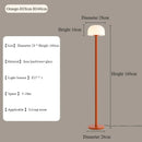 Axyaa Nordic Iron Floor Lamp with Glass Lampshade Design for Living Room and Bedroom