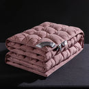 Axyaa 2024 Long-Staple Cotton Down Quilt with 95% White Goose Down - Winter Warmth
